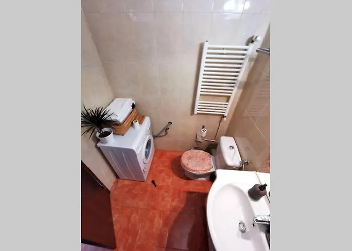 Bertigart * 부쿠레슈티